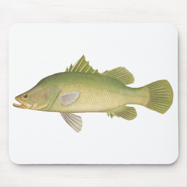 Mousepad Peixes - Barramundi - Calcarífero tardio (Frente)