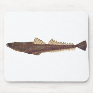 Mousepad Peixes - Cabeça-de-Folha-Dusky - Platycephalus fus
