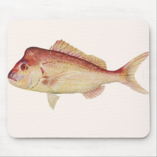 Mousepad Peixes - caranga - guttulatus do Chrysophrys