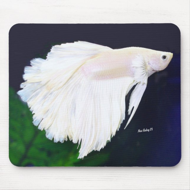 Mousepad Peixes de Betta da platina (Frente)