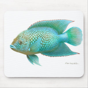 Mousepad Peixes de cichlidae de Jack Dempsey