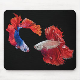 Mousepad Peixes de combate siameses