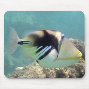 Mousepad Peixes do estado de Havaí - Humuhumunukunukuapua'