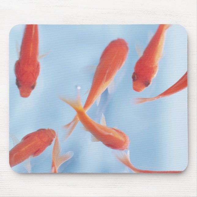 Mousepad Peixes dourados (Frente)