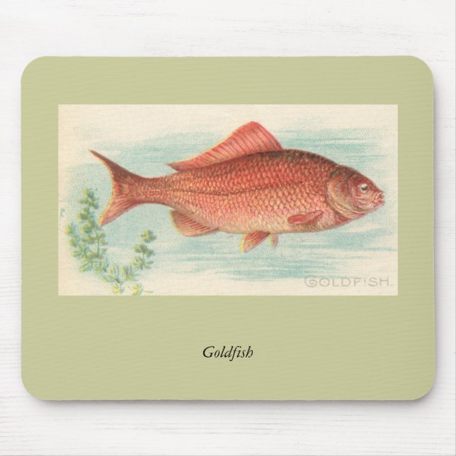 Mousepad Peixes dourados (Frente)