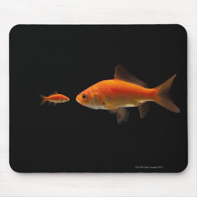 Mousepad Peixes dourados (Frente)