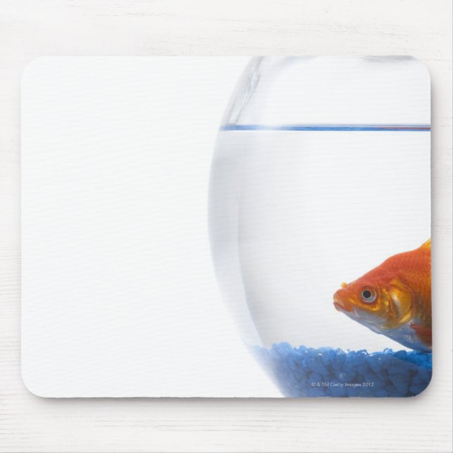 Mousepad Peixes dourados em prato branco (Frente)