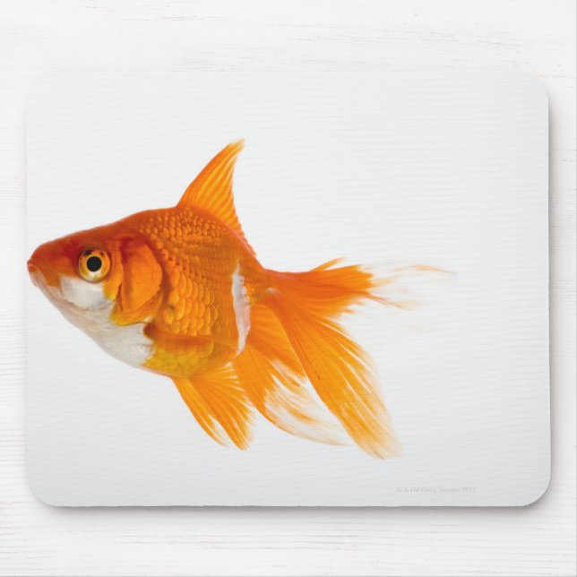 Mousepad Peixes dourados, vista lateral (Frente)