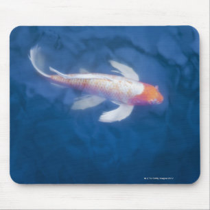 Mousepad Peixes japoneses do koi na lagoa, opinião de
