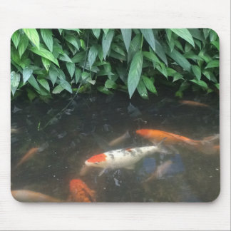 Mousepad Peixes legal de Koi da natureza no tapete do rato