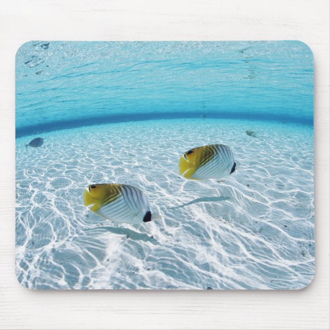 Mousepad Peixes no mar 2 (Frente)