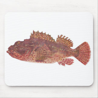 Mousepad Peixes - Red Rock Cod - Scorpaena cardinalis
