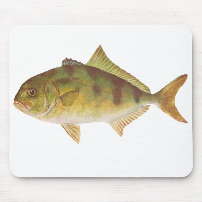 Mousepad Peixes - Samson-Peixes - hipopótamos do Seriola (Frente)