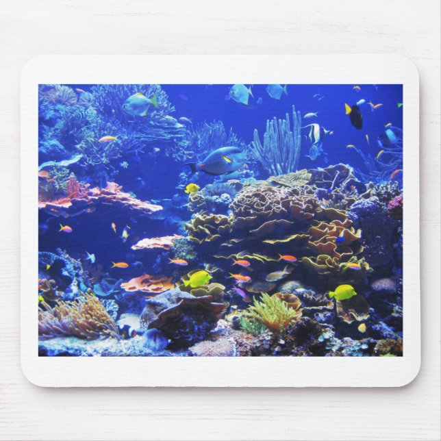 Mousepad Peixes tropicais (Frente)