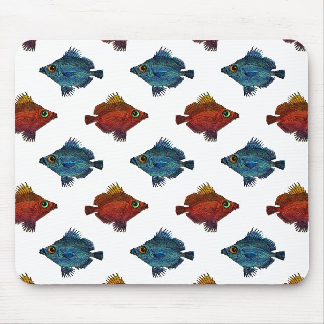 Mousepad Peixes tropicais azuis e vermelhos ALGUM FUNDO da (Frente)