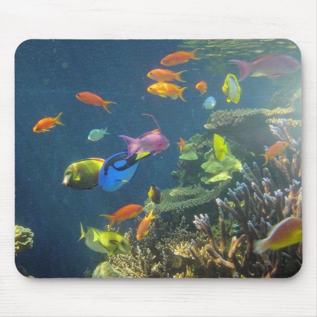 Mousepad Peixes tropicais havaianos (Frente)