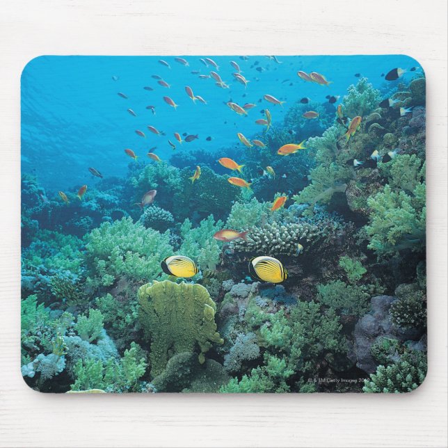 Mousepad Peixes tropicais nadando sobre recifes (Frente)