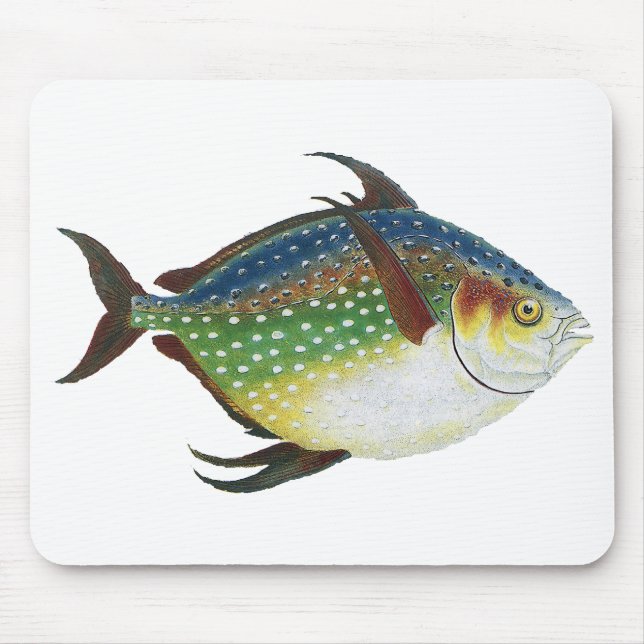 Mousepad Peixes Tropicais Opaques, Animais Aquáticos Marinh (Frente)