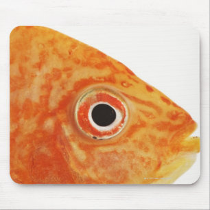 Mousepad Peixes vermelhos do diácono