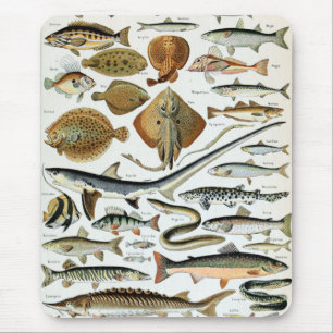 Mousepad Peixes Vintage do Mundo
