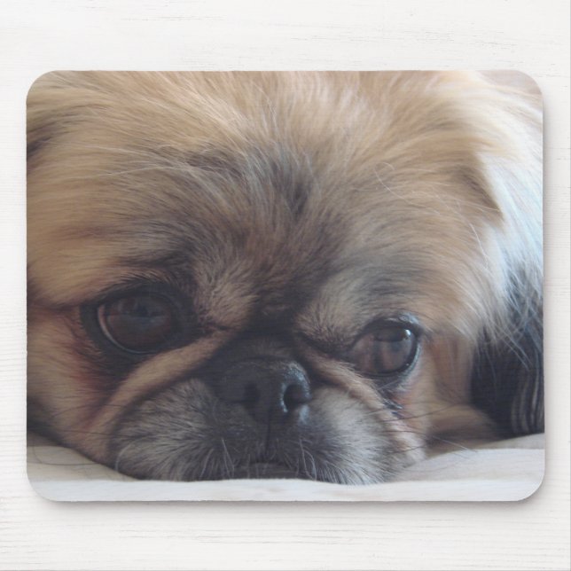 Mousepad Pekingese (Frente)