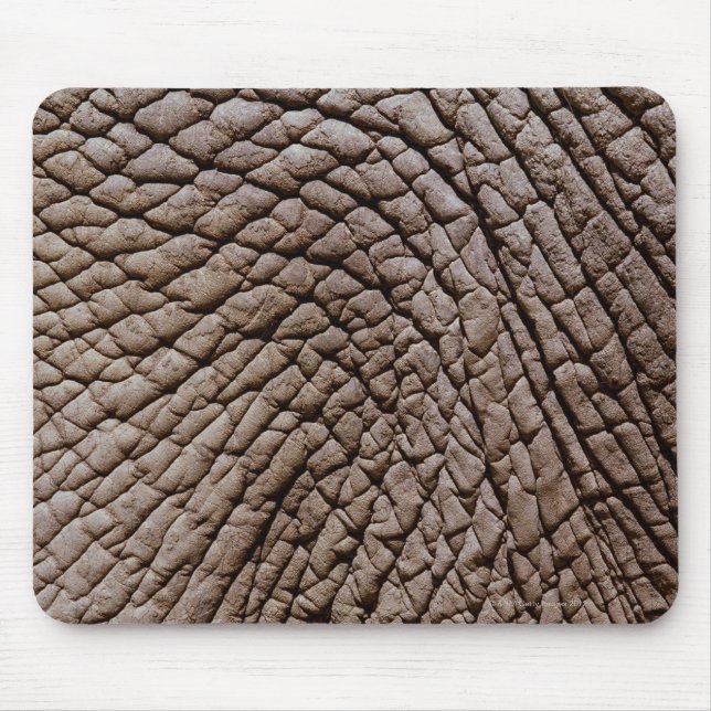 Mousepad Pele africana de elefantes (Loxodonta africana) (Frente)