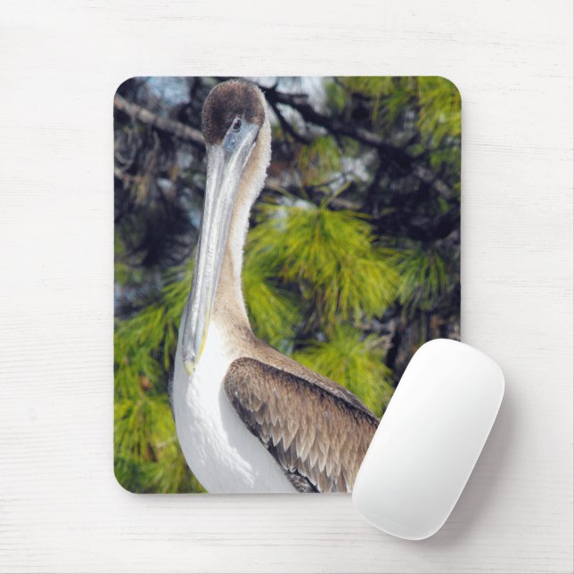 Mousepad Pelecano-marrom-jovem (Com mouse)