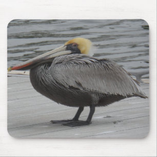 Mousepad Pelican