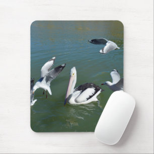 Mousepad Pelican E O Portão.