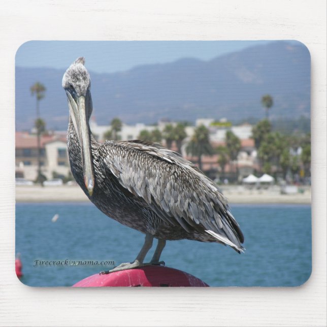 Mousepad Pelican orgulhoso (Frente)