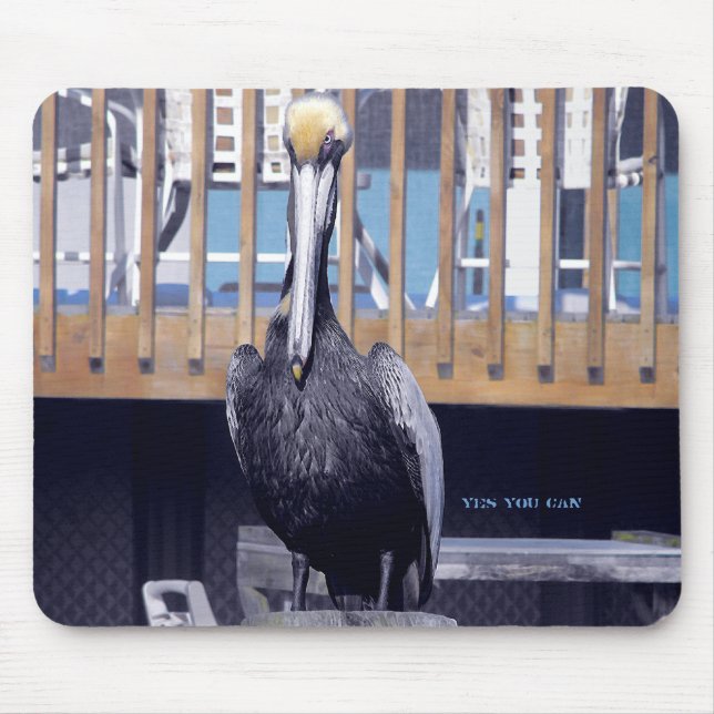 Mousepad Pelican Power (Frente)