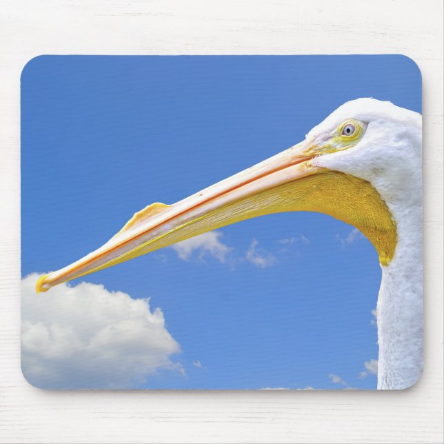 Mousepad Pelicano Branco Americano (Frente)