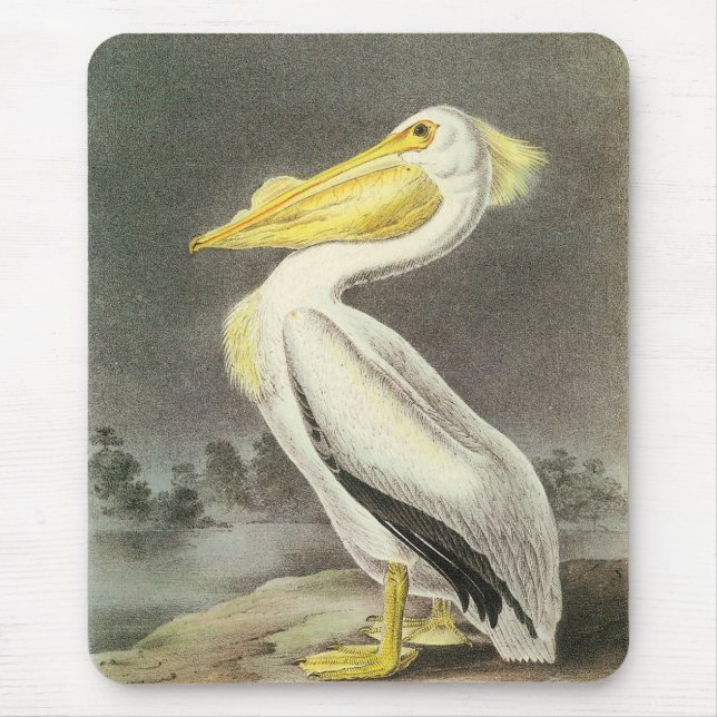 Mousepad Pelicano Branco Americano por Audubon (Frente)