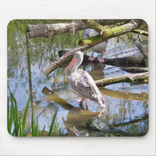 MOUSEPAD PELICANOS