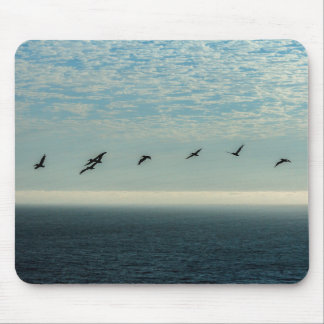 Mousepad Pelicanos