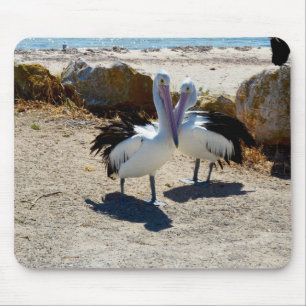 Mousepad Pelicanos Apaixonados