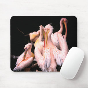 Mousepad Pelicanos cor-de-rosa