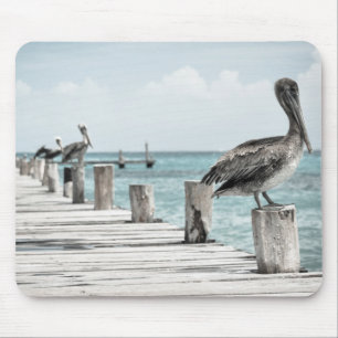 Mousepad Pelicanos na doca