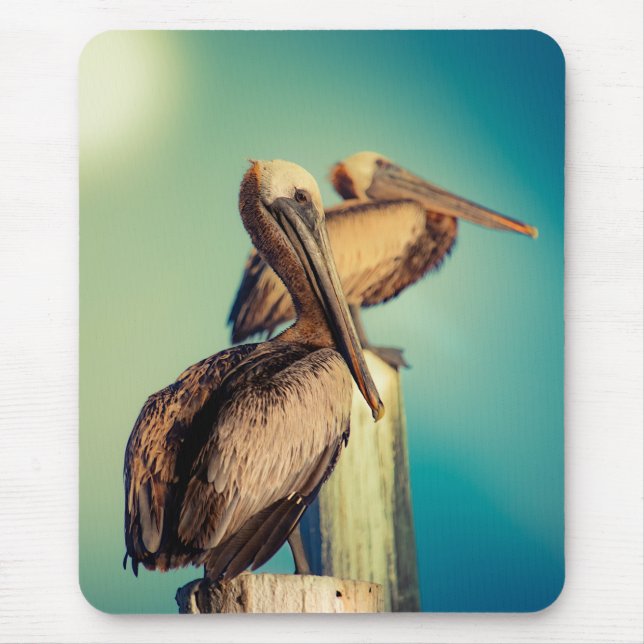 Mousepad Pelicanos no amanhecer (Frente)
