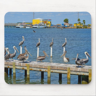 Mousepad Pelicanos que Sunbathing