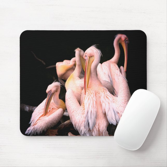 Mousepad Pelicanos rosa (Com mouse)
