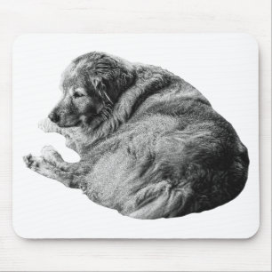 Mousepad Pelo Macio de Cachorro Levanta a Energia Calma do