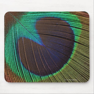Mousepad Pena do pavão