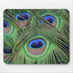 Mousepad Penas de Peacock
