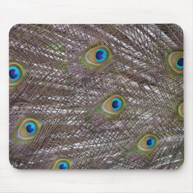 Mousepad Penas de Peacock (Frente)