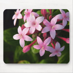 Mousepad Pentas
