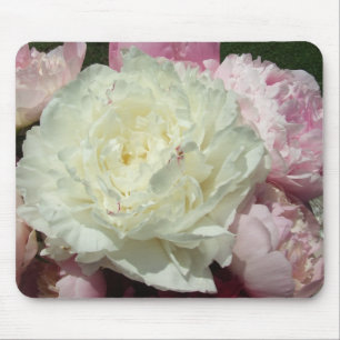 Mousepad Peônias cor-de-rosa/esteira cor-de-rosa do rato d