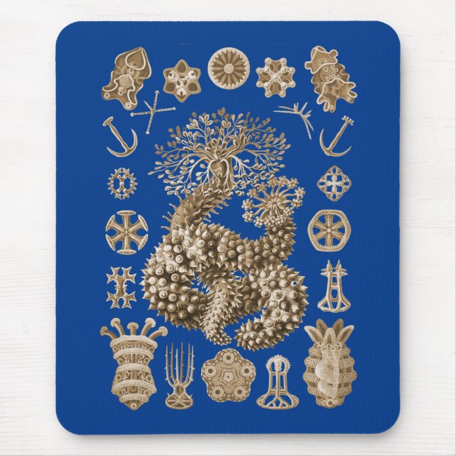 Mousepad Pepinos de mar (Frente)