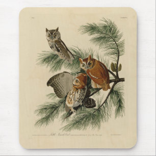 Mousepad Pequena Coruja das Aves da América de Audubon