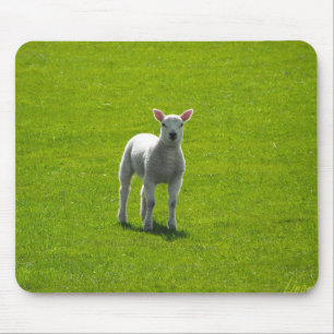 Mousepad Pequena Lambe